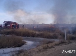 Злоумышленники подожгли камыш на Арабатской стрелке