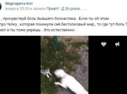 В Харьковской области будут судить девушку за видео мученической смерти котенка