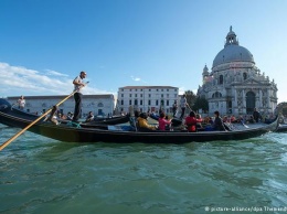 Стаи рыбороботов запустят в венецианскую лагуну