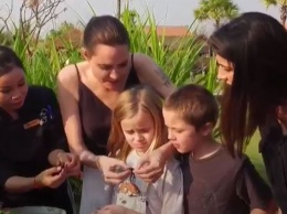 Анджелина Джоли кормила своих детей в Камбоджи пауками и скорпионами