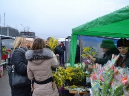 В Каменском откроются цветочные ярмарки