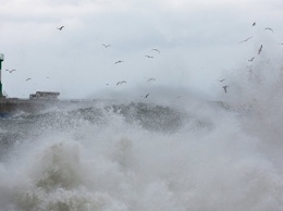 В Керченском проливе ожидается шторм. Возможна приостановка паромов