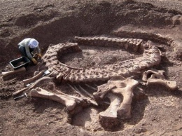 Ученые нашли шесть видов динозавров в Испании