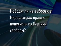 Победят ли на выборах в Нидерландах правые популисты из Партиии свободы?