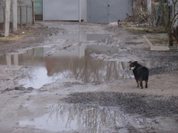 Жители Очакова несколько лет подряд не могут добиться капремонта улицы, которая с каждым дождем превращается в месиво грязи