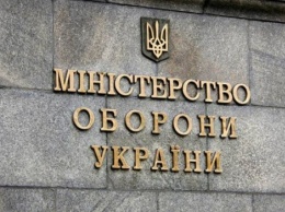 Оскорбившую волонтеров сотрудницу Минобороны Украины уволили