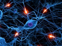 Ученые обнаружили сознание в мозге человека