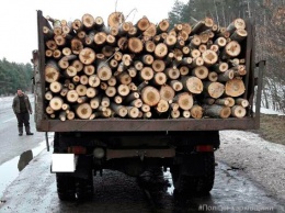 Полиция задержала два грузовика с нелегальной древесиной