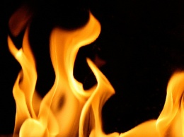 Пожарные спасли из горящего дома двух терновчан