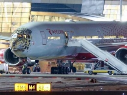 В России появился "самолет-леопард" (фото)