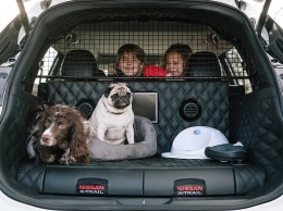 Nissan X-trail обзавелся «собачьей» версией