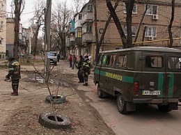В Бердянске продолжается обрезка аварийных деревьев в школах и детских садиках