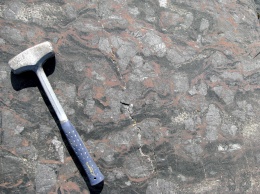В Канаде найдена древнейшая из известных окаменелостей