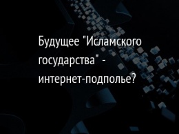 Будущее "Исламского государства" - интернет-подполье?