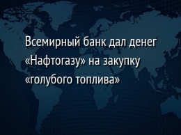 Всемирный банк дал денег «Нафтогазу» на закупку «голубого топлива»