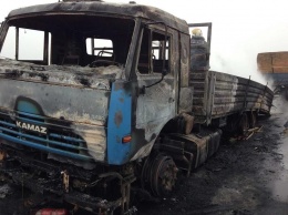На Николаевщине на полном ходу загорелся грузовик с древесиной