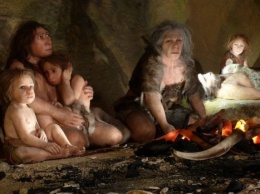 Ученые НГУ воссоздали среду обитания неандертальцев на Алтае
