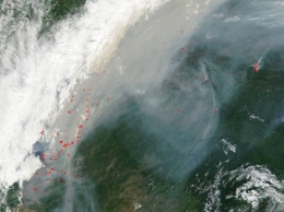 NASA опубликовало снимок пожаров в Сибири со спутника