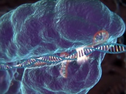 Новейший популярный фермент CRISPR-Cas9