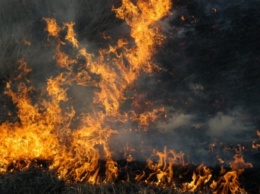 В Иркутской области объявлен наивысший класс пожарной опасности