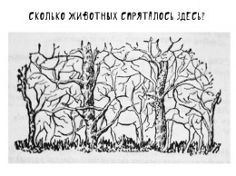 Сколько животных вы здесь насчитали? Ответ может кое-что рассказать о вас!