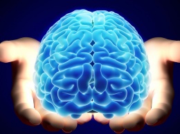 Ученые: Определены участки мозга, отвечающие за лайки и репосты