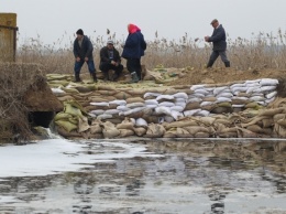 На стихийных рынках Киева увеличились продажи рыбы из