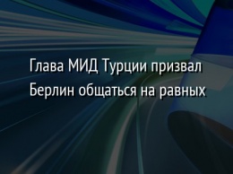 Глава МИД Турции призвал Берлин общаться на равных