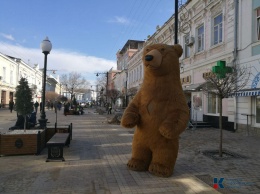 В классике жанра: По Симферополю разгуливает 4-метровый медведь, правда без балалайки (ФОТО)