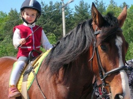 Езда верхом на лошадях помогает детям учиться