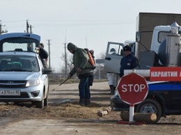 Из-за угрозы распространения АЧС в селе Белогорского района ввели карантин
