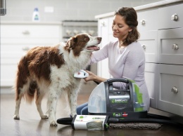 Разработан аппарат пылесос для мытья собак