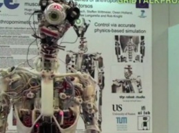 Ученые предложили выращивать органы человека на роботах
