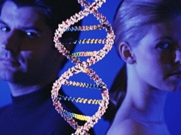 Ученые нашли ген различия между мужчинами и женщинами