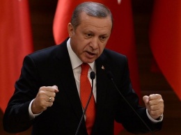 Немецкие парламентарии и политики осудили высказывание президента Турции Тайипа Эрдогана относительно нынешней политики Берлина