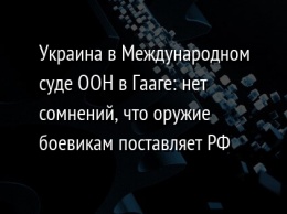 Украина в Международном суде ООН в Гааге: нет сомнений, что оружие боевикам поставляет РФ