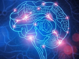 Российские разработчики запустили проект по разработке сервиса нейромаркетинговых исследований