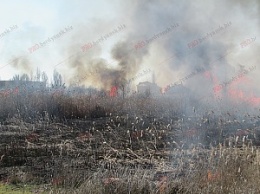 На выходных в Бердянске 4 раза горела сухая трава