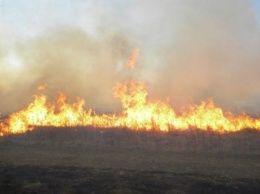 За двое суток в естественных экосистемах Черниговщины тушили девять пожаров