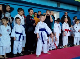 Воспитанники клуба «Фудосин» результативно выступили в кубке области по карате