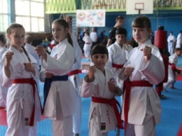 Бердянские каратисты клуба «Дзаншин» на Кубке области завоевали 36 медалей