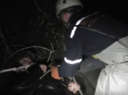 В Запорожье пьяный мотоциклист упал в реку, - ВИДЕО