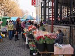 В Павлограде к 8 марта подорожали цветы