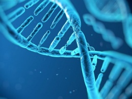 Ученые обнаружили древнюю ДНК вируса лейкемии