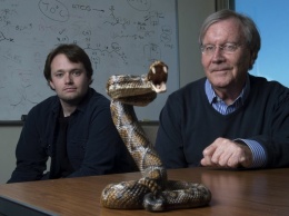Ученые создали универсальный антидот от змеиных ядов