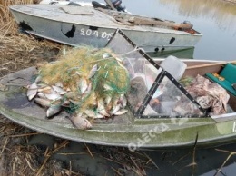 В Одесской области поймали браконьера с огромным уловом