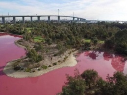 В Австралии озеро поменяло свой цвет на розовый