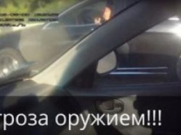 "Расступитесь все - бык с оружием на дороге под Киевом..." ВИДЕО