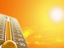 Аномальная жара в Украине мешает началу сева озимых