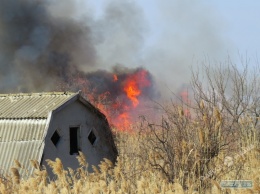 Крупный пожар едва не уничтожил дачный поселок в Одесской области (фото)